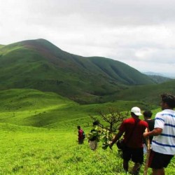 Trek to Mullayanagiri 1N/2D